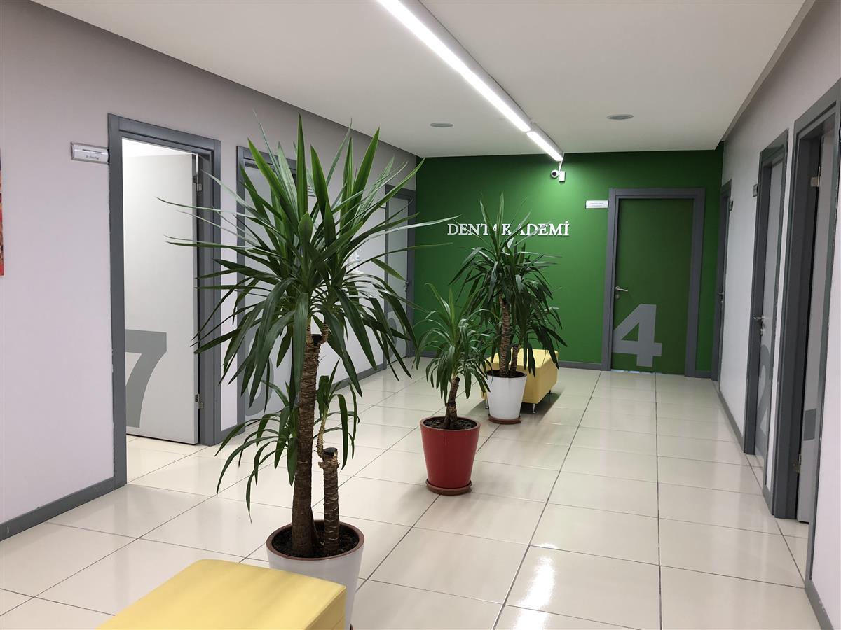 Facility Inside - مركز دينت أكاديمي للرعاية الصحية للفم والأسنان