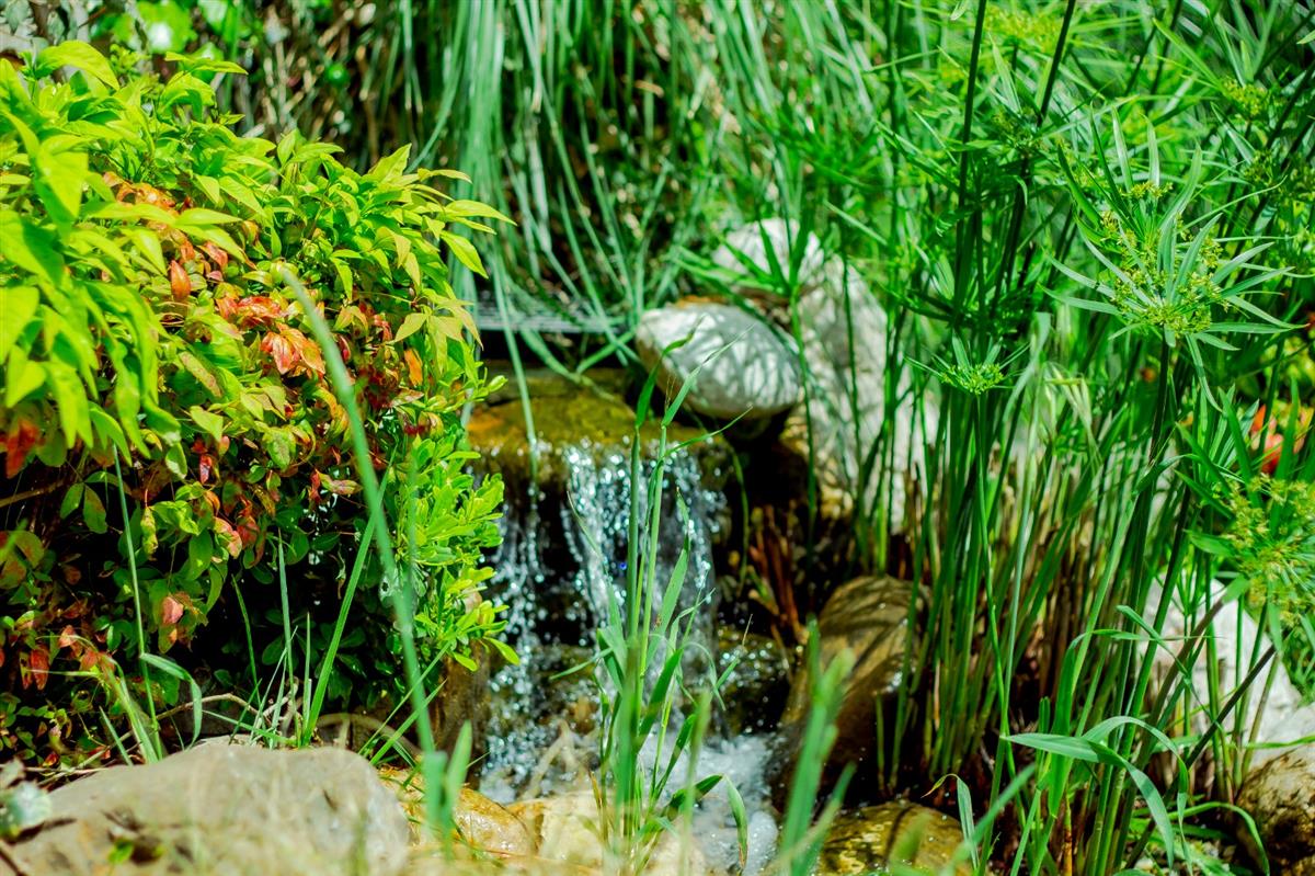 Garden - مستشفى مودست