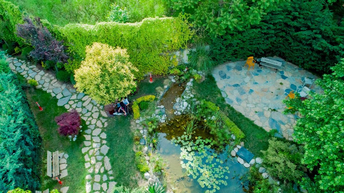 Garden - مستشفى مودست