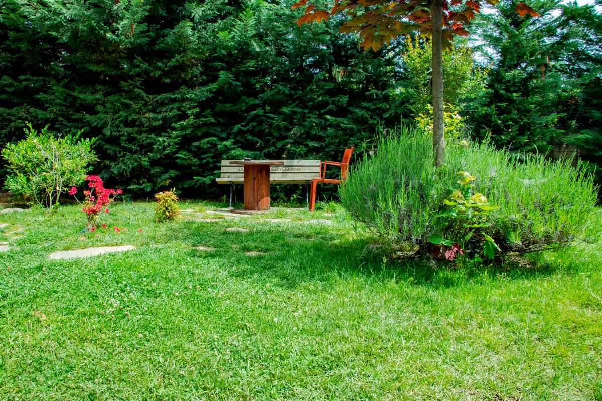 Garden - مستشفى مودست