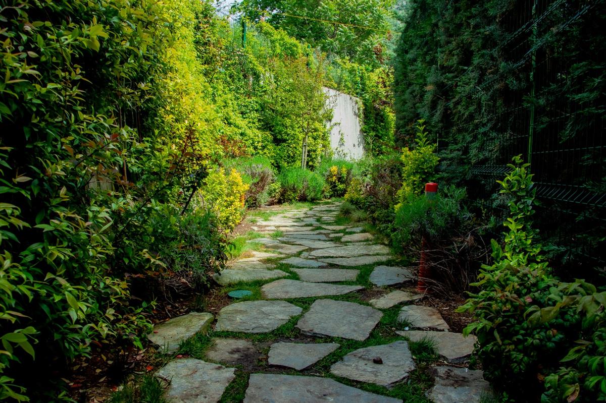 Garden - مستشفى مودست