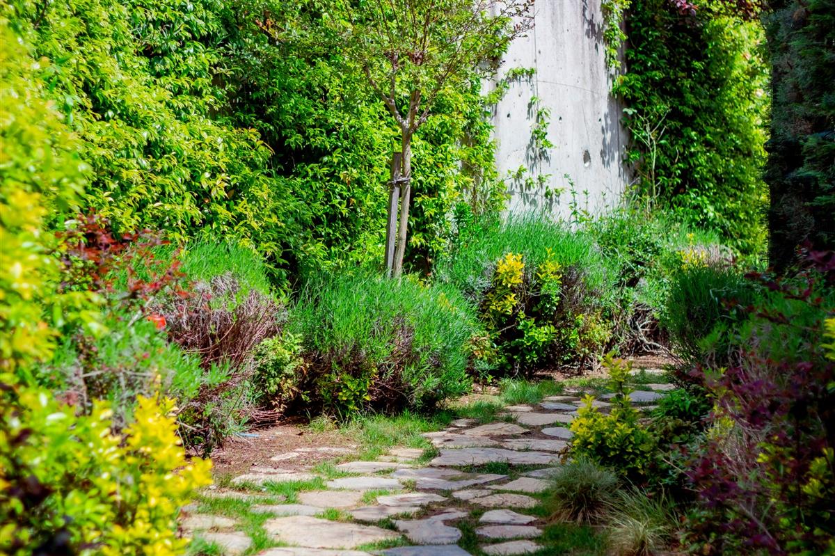 Garden - مستشفى مودست