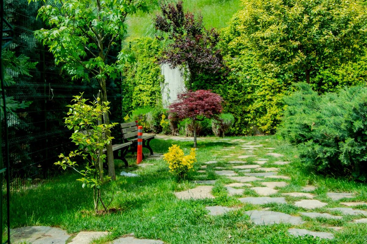 Garden - مستشفى مودست