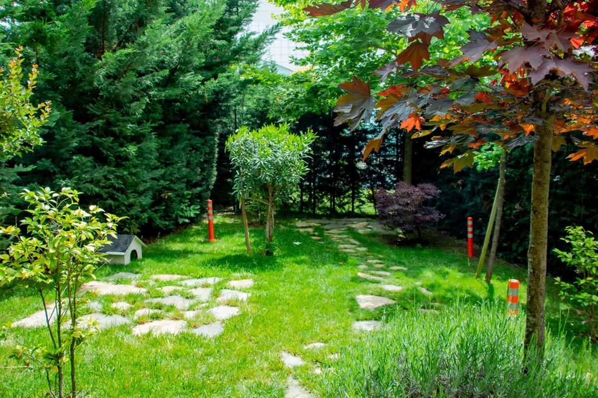 Garden - مستشفى مودست